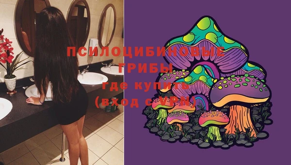 дурь Абинск